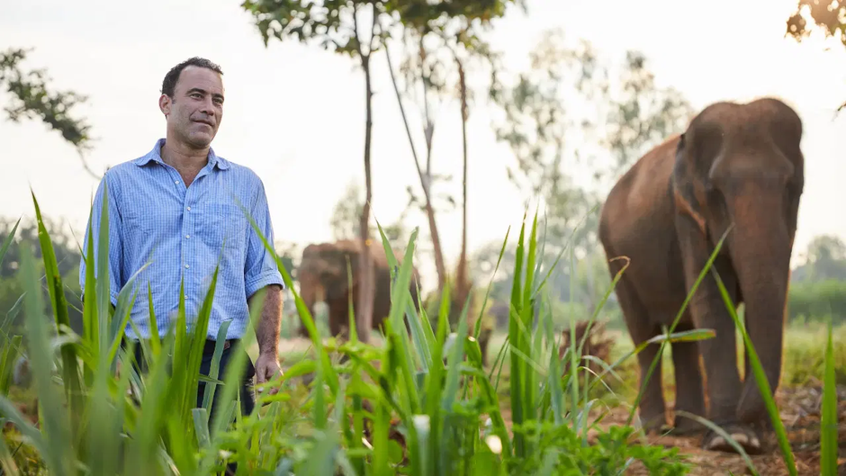 $1,500 for 'naturally refined' coffee? Here's what that phrase really means.