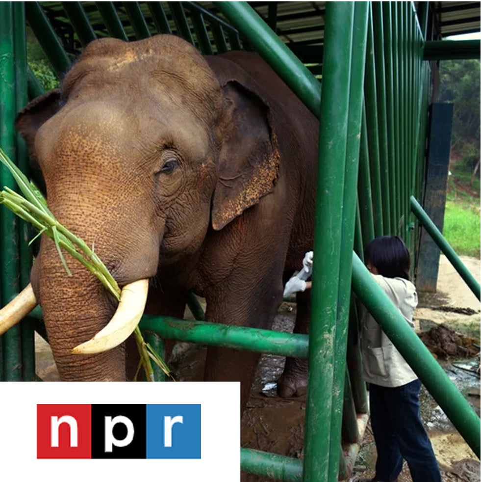 a bit nutty, but also very flavorful and not at all bitter — just as Dinkin had promised…