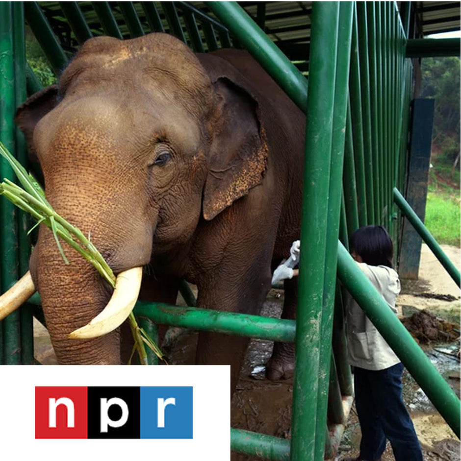 a bit nutty, but also very flavorful and not at all bitter — just as Dinkin had promised…