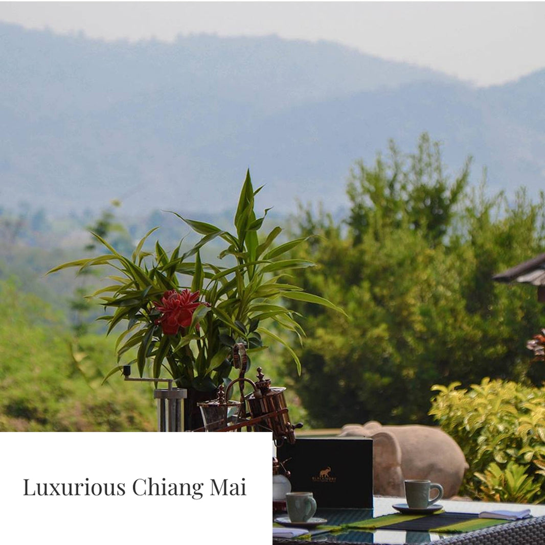 You can taste floral notes of chocolate, cardamom, tobacco and a hint of sweet fruit…