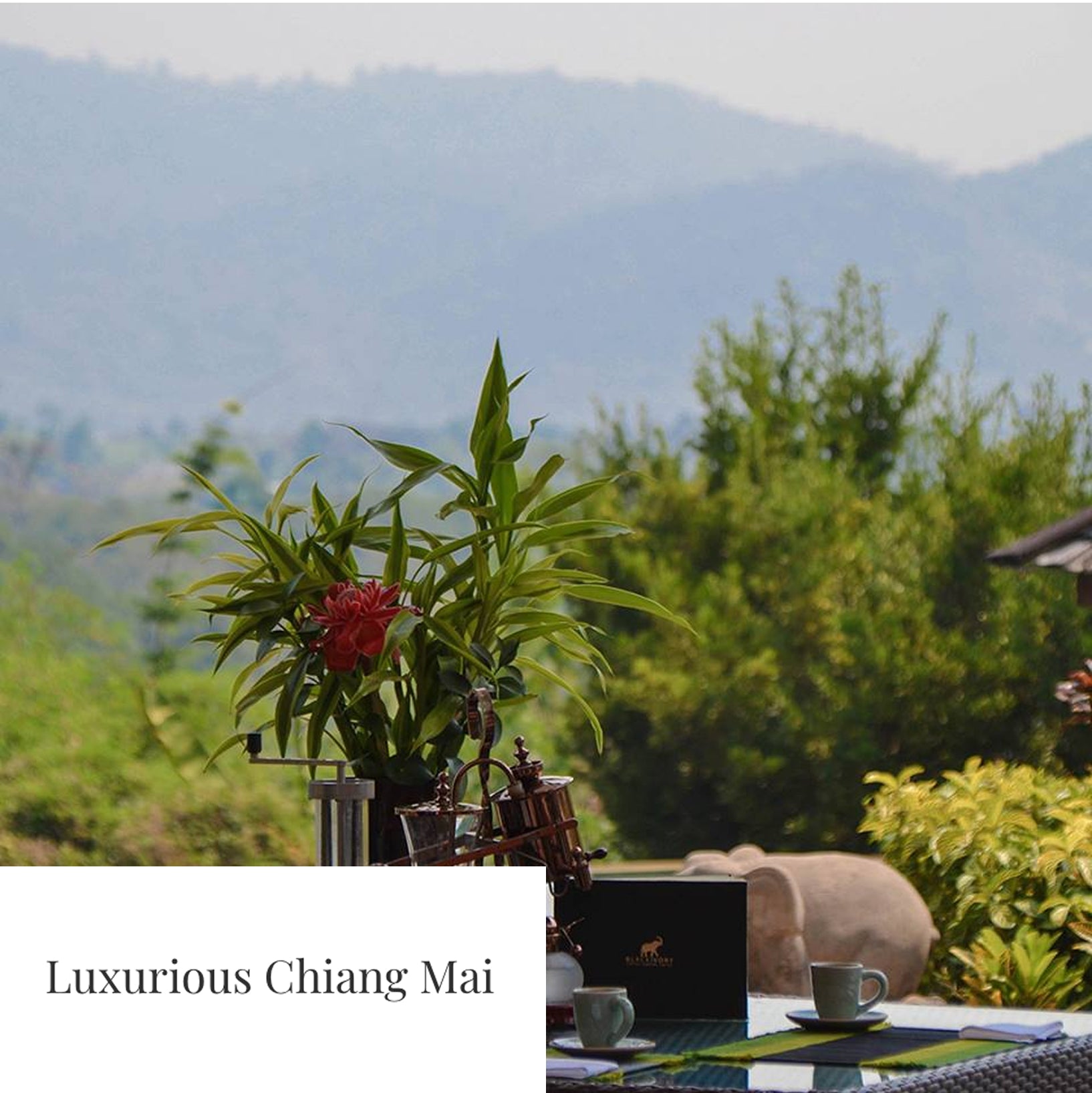 You can taste floral notes of chocolate, cardamom, tobacco and a hint of sweet fruit…